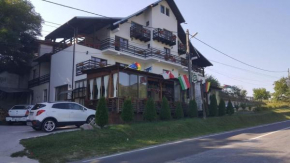 Отель Pensiunea Pomi -Oesti  Доброту